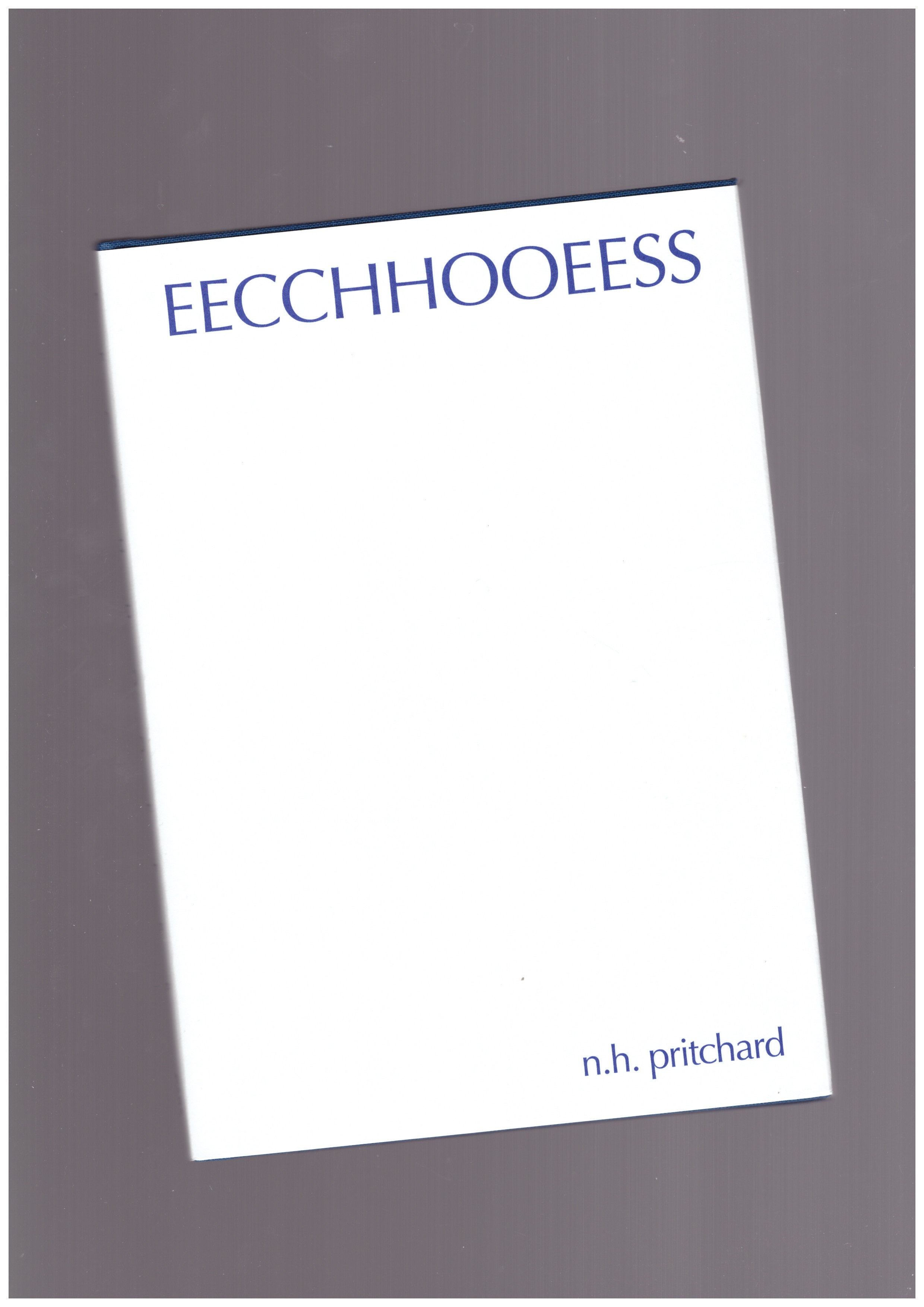 PRITCHART, N.H. - EECCHHOOEESS
